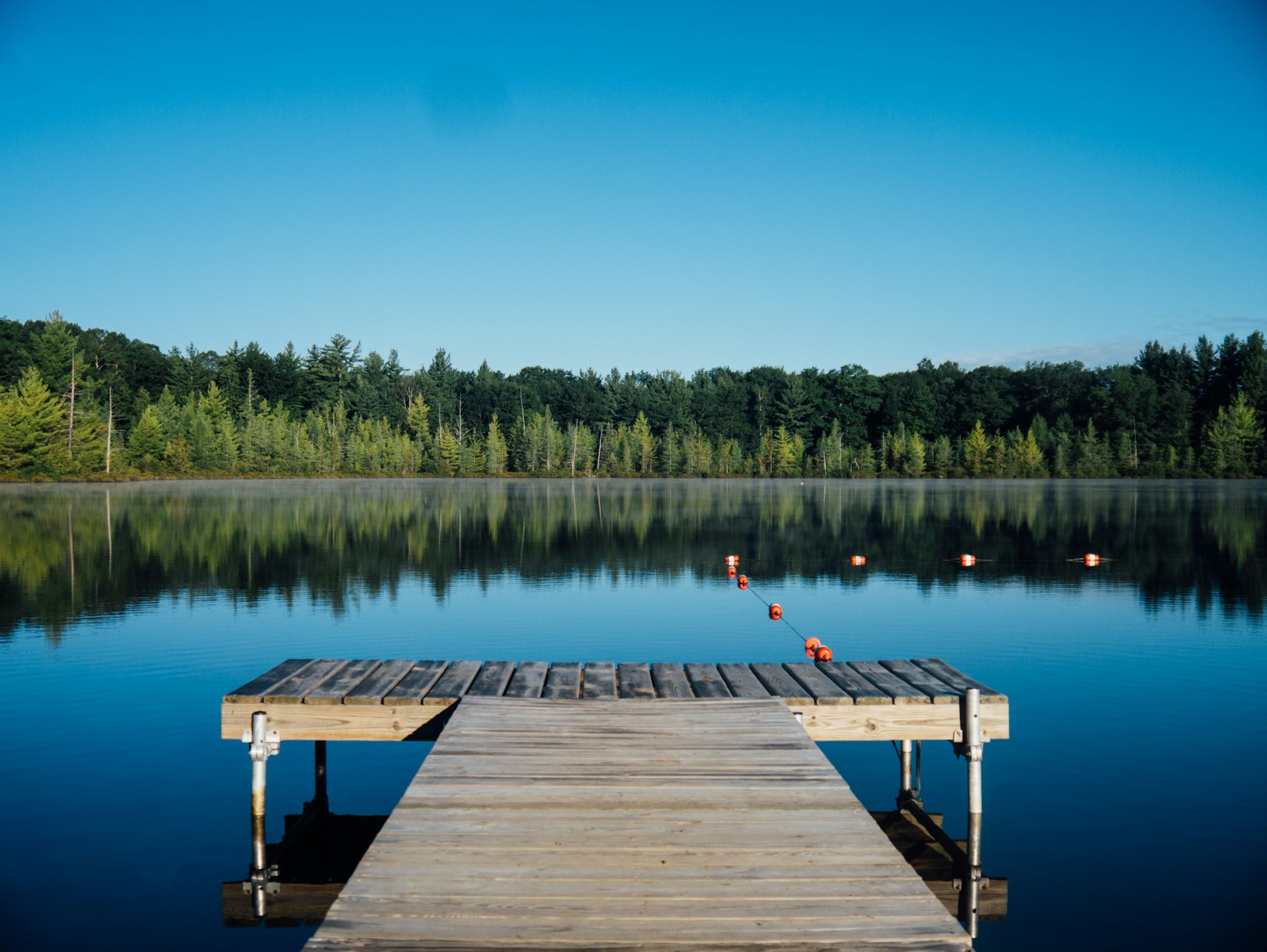 A wooden dock reaching into a still lake surrounded by forest